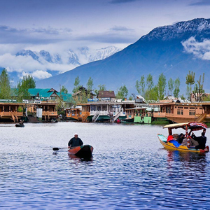 kashmir